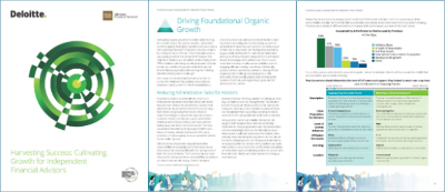 Deloitte brochure